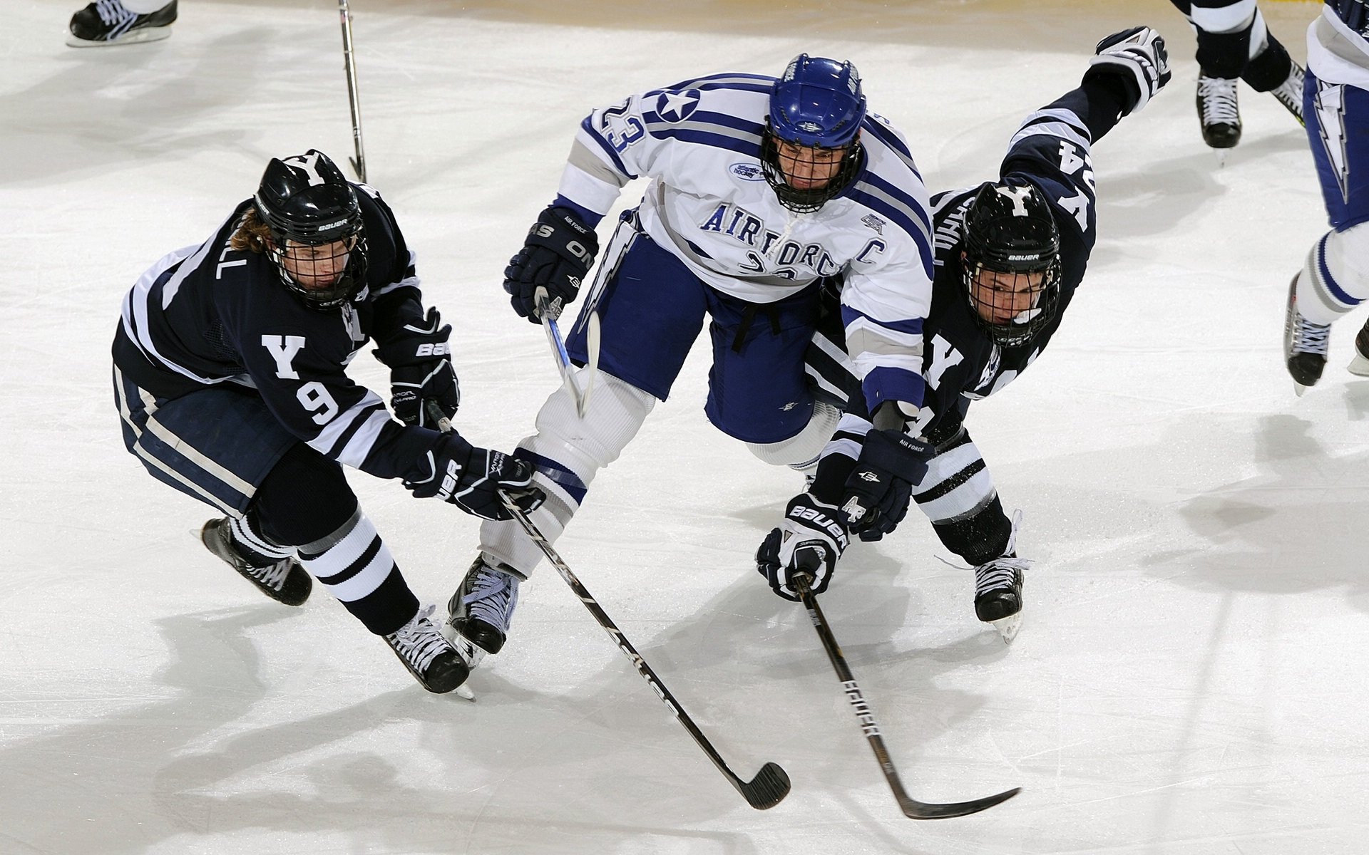 KAIYUN-费德勒新星战术调整表现突出，加拿大队前途光明！全场沸腾不已
